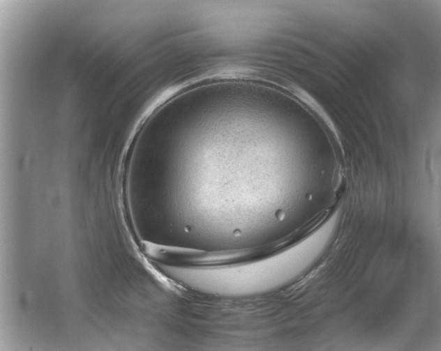 X0000067361437200603311207