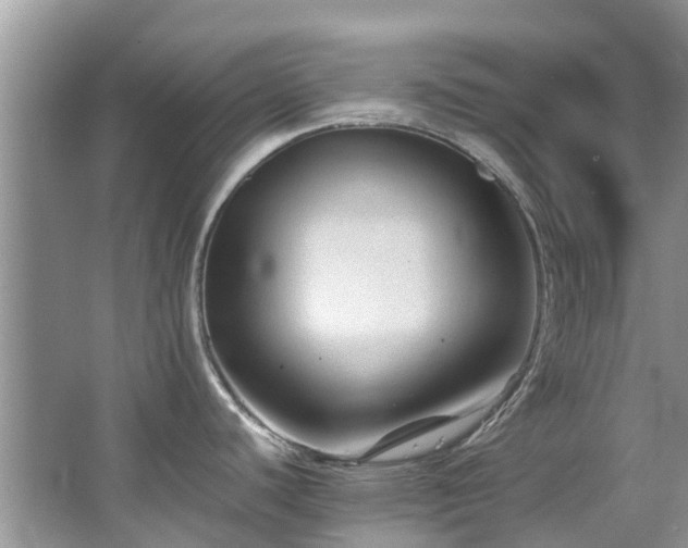 X0000067361440200603311207