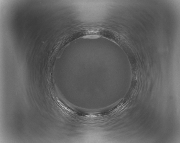 X0000067361441200603311206