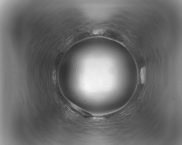 X0000067361443200603311206