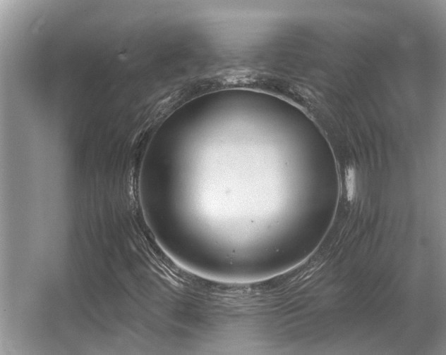 X0000067361444200603311206