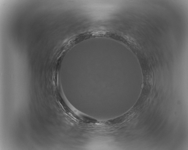 X0000067361445200603311206