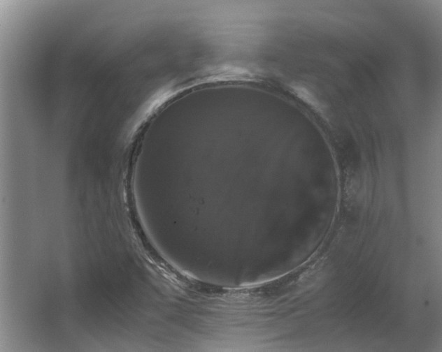 X0000067361455200603311206