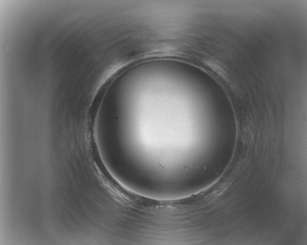 X0000067361458200603311206