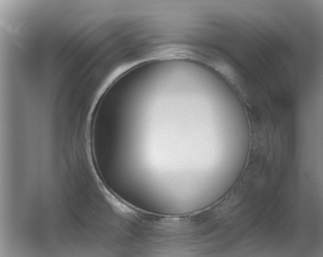 X0000067361478200603311205