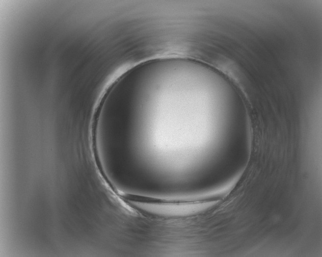 X0000067361480200603311205
