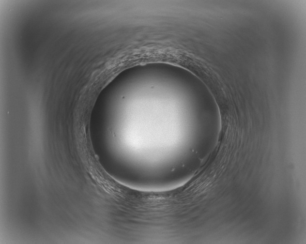 X0000067361489200603311204