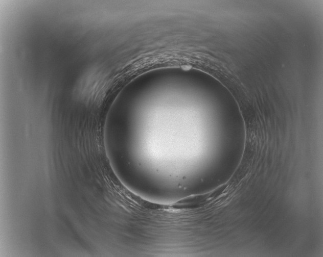 X0000067361490200603311204