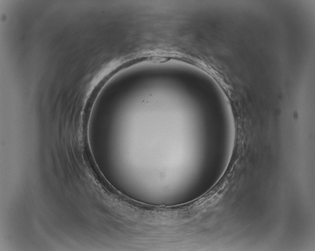X0000067360008200604031010