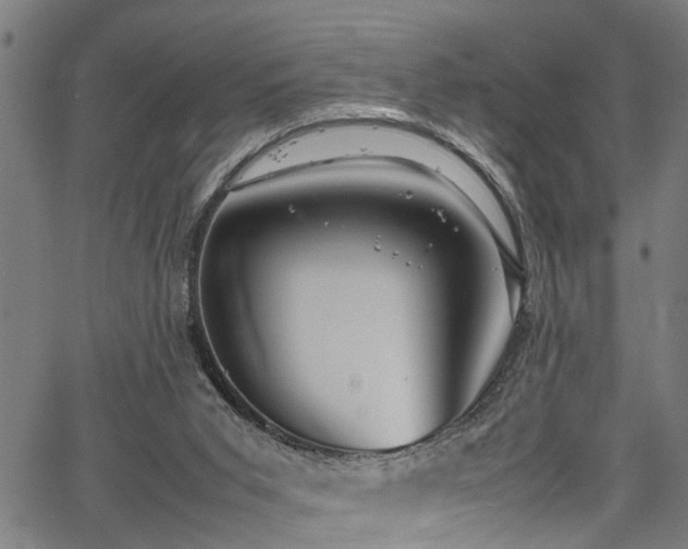 X0000067360015200604031010