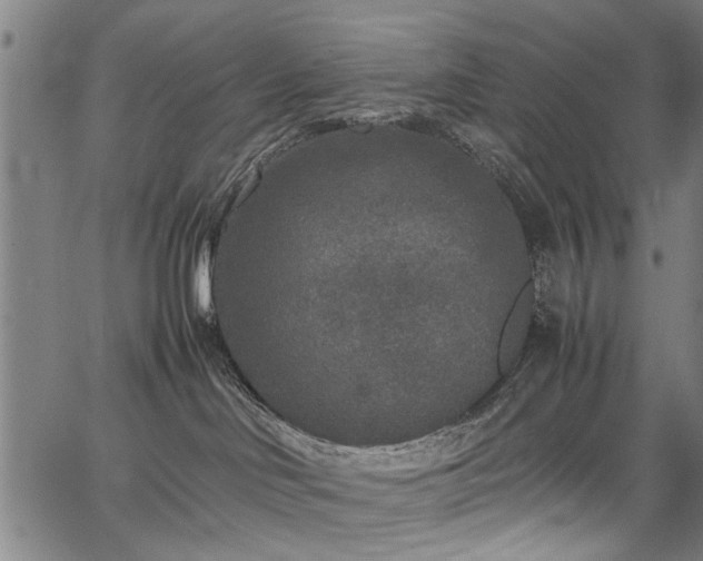 X0000067360046200604031010