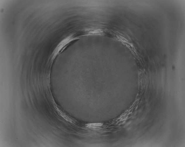 X0000067360051200604031009