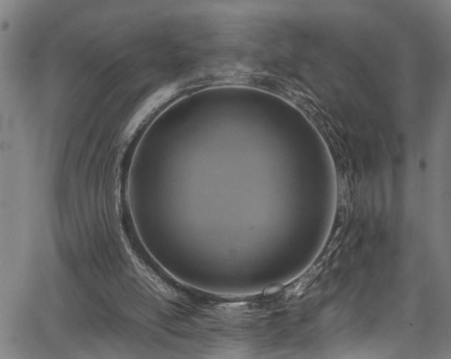 X0000067360054200604031009