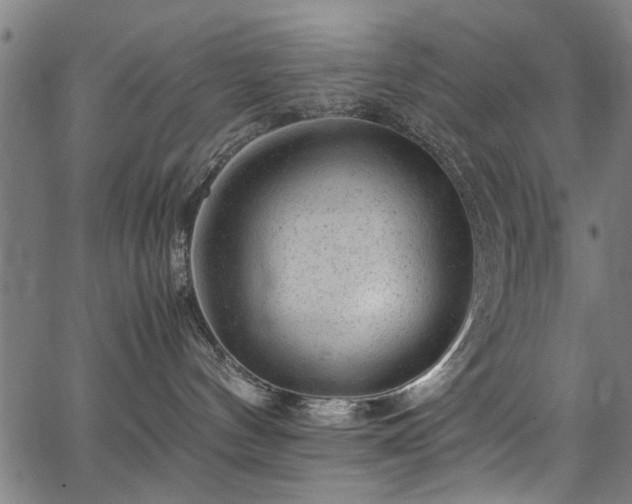 X0000067360144200604031008