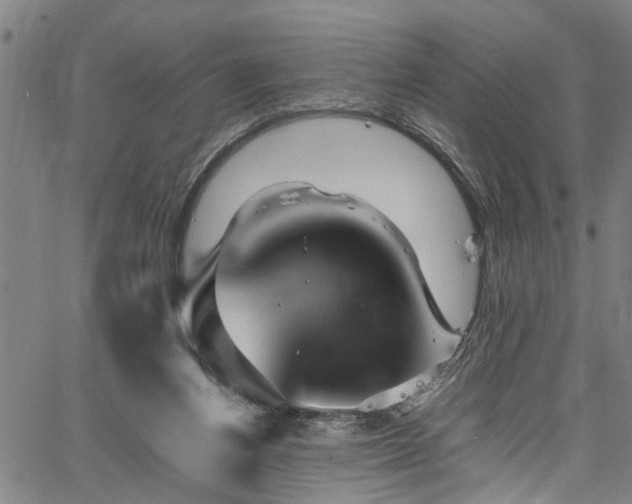 X0000067360164200604031008