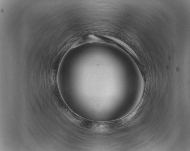 X0000067360174200604031008