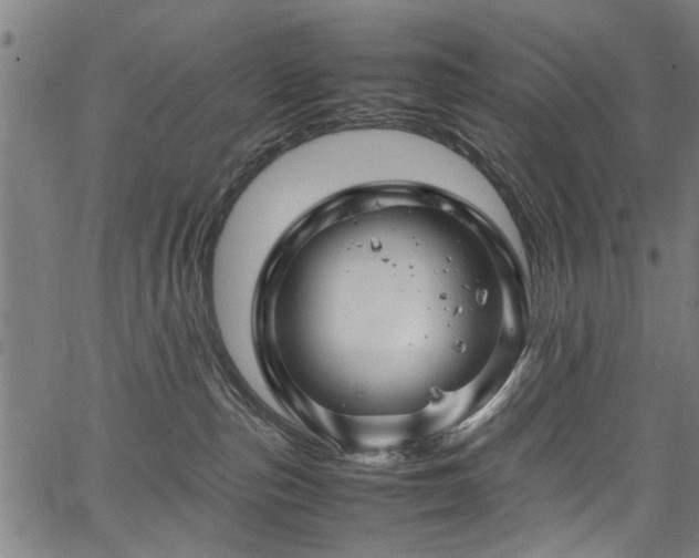 X0000067360187200604031008