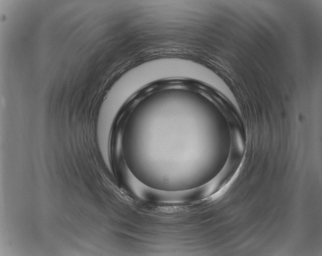 X0000067360190200604031008