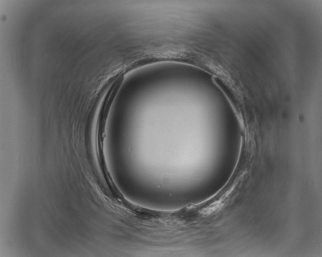 X0000067360201200604031007