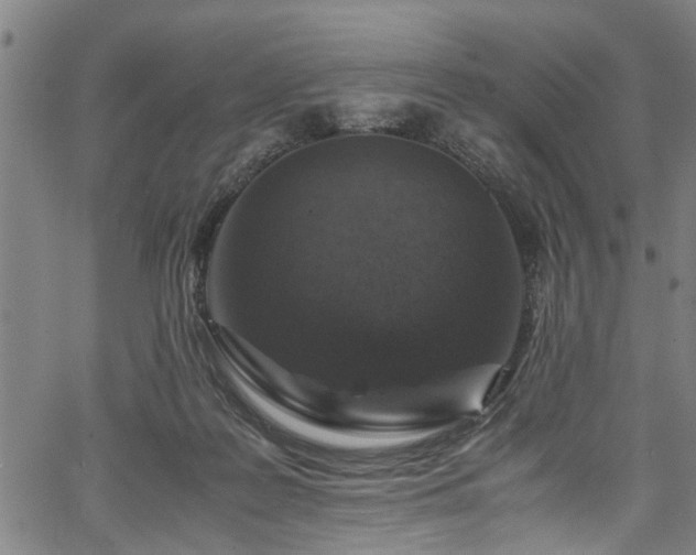 X0000067360219200604031007