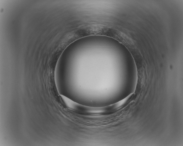 X0000067360225200604031007