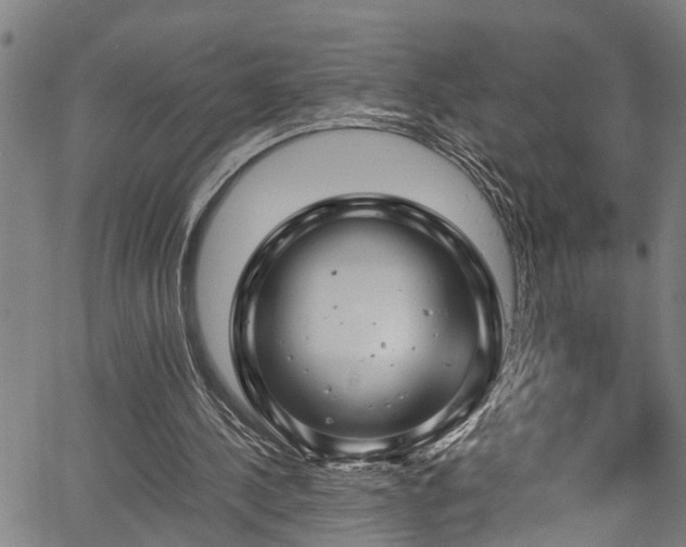 X0000067360244200604031006