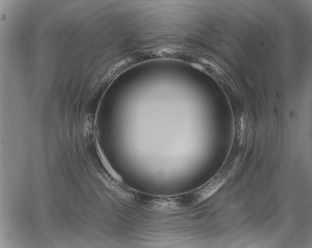 X0000067360284200604031006