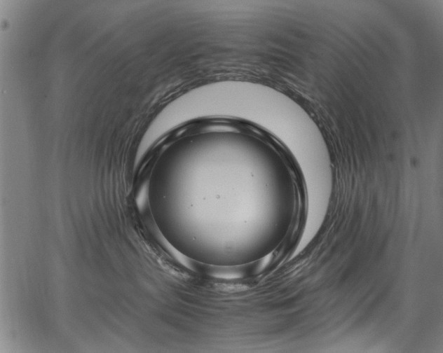 X0000067360287200604031007