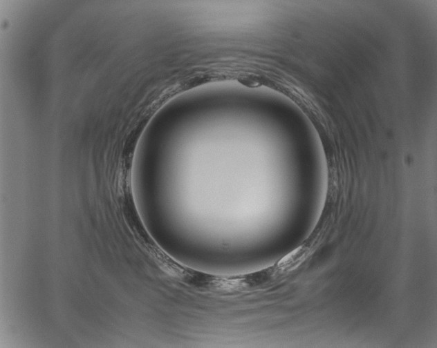 X0000067360333200604031005