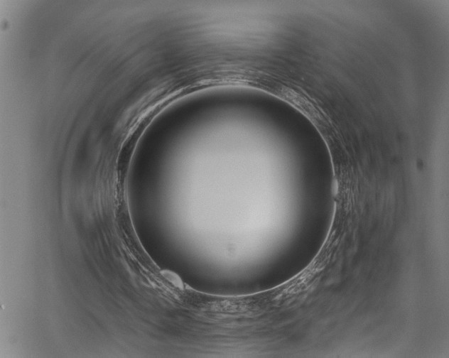 X0000067360338200604031004
