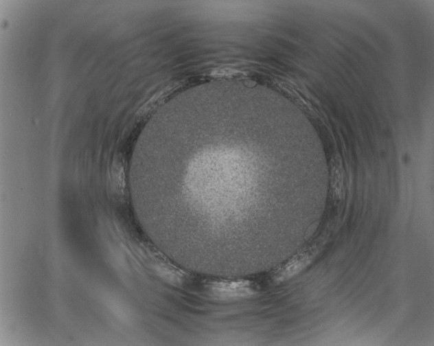 X0000067360375200604031005