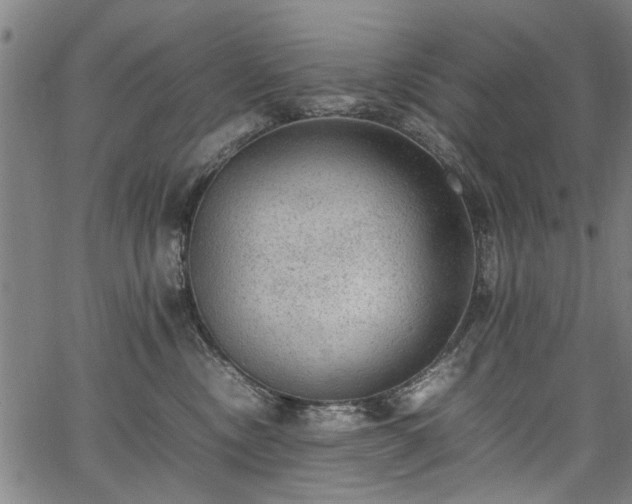X0000067360378200604031005