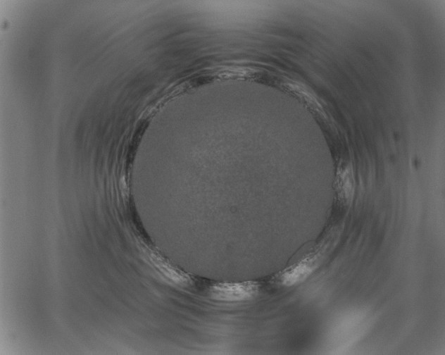 X0000067360381200604031005