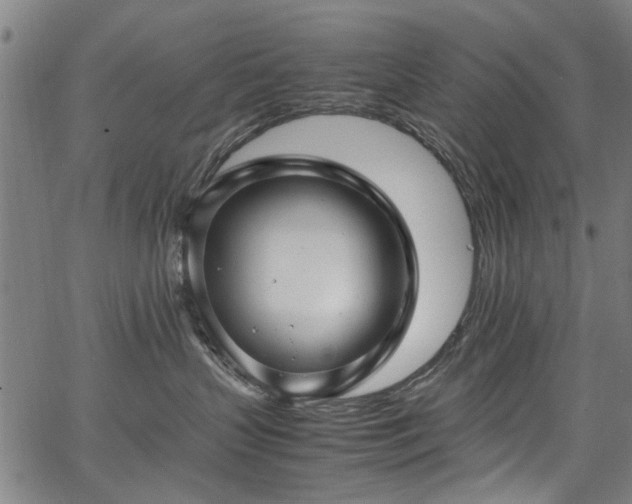 X0000067360383200604031005