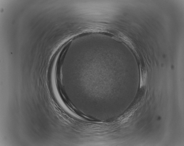 X0000067360387200604031004