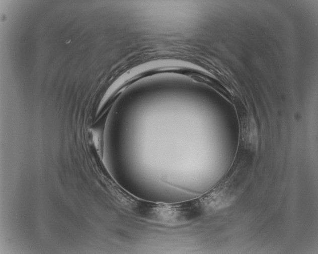 X0000067360425200604031003