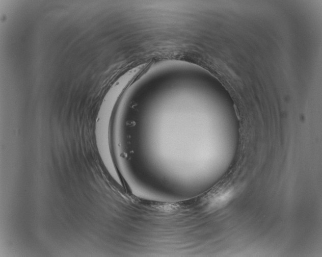 X0000067360432200604031003