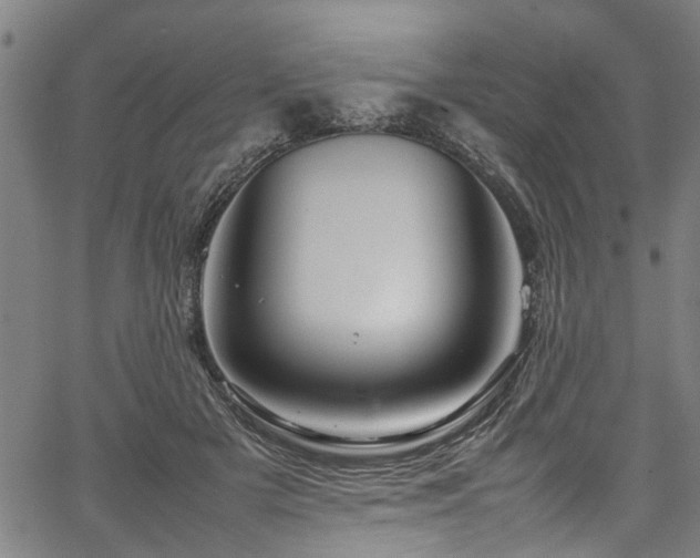 X0000067360505200604031002
