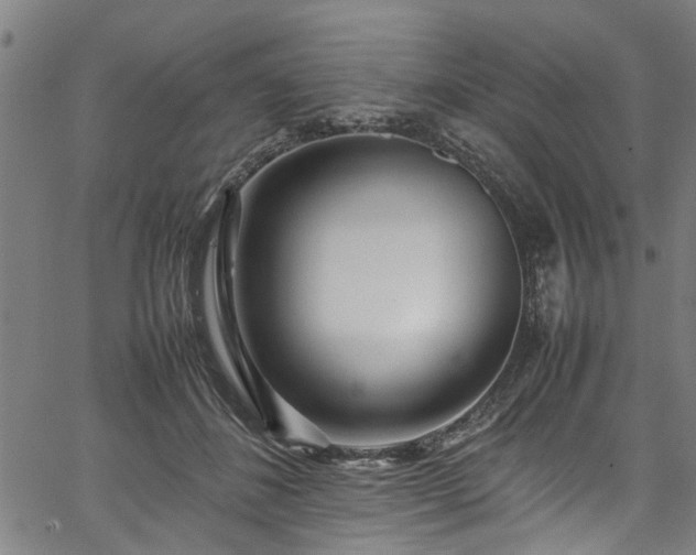X0000067360508200604031002