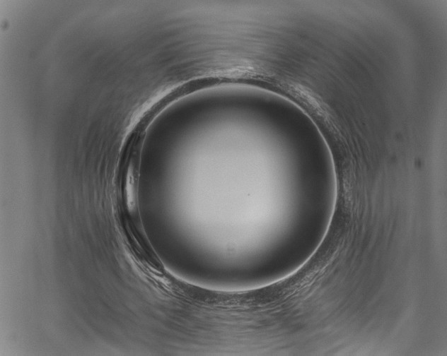 X0000067360532200604031001