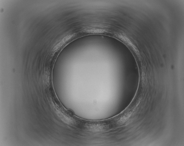X0000067360533200604031001