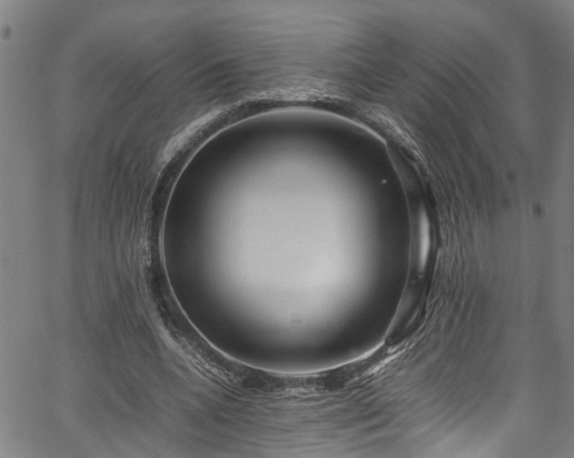 X0000067360536200604031001
