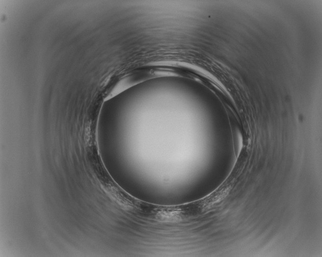 X0000067360560200604031002