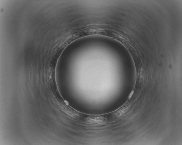 X0000067360567200604031002