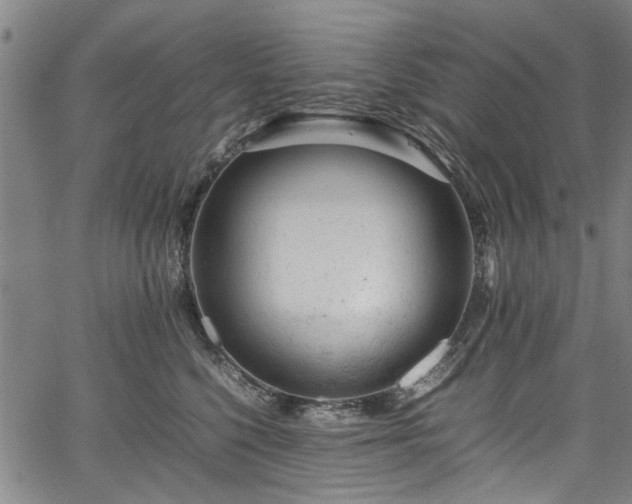 X0000067360568200604031002