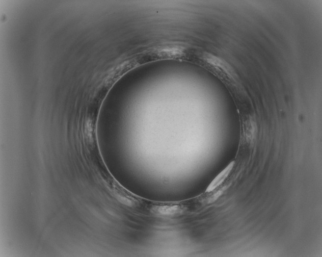 X0000067360575200604031002