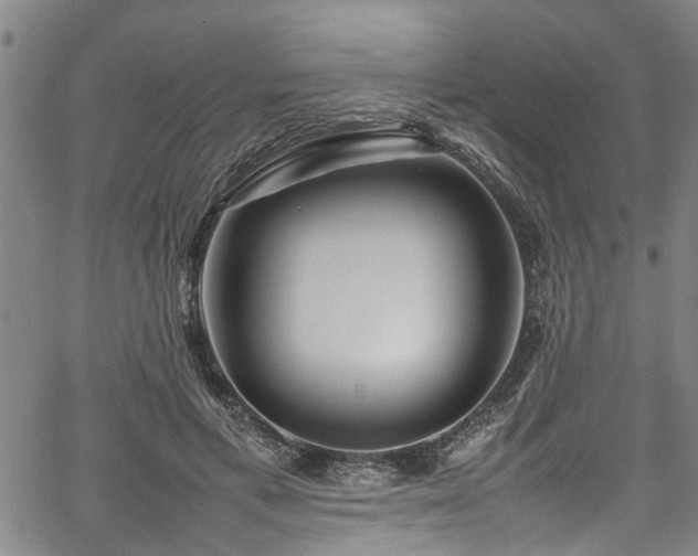 X0000067360597200604031001