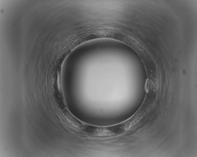 X0000067360605200604031001