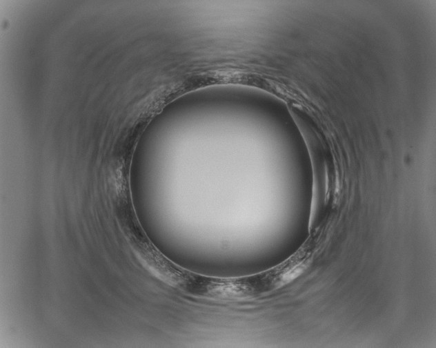 X0000067360611200604031000