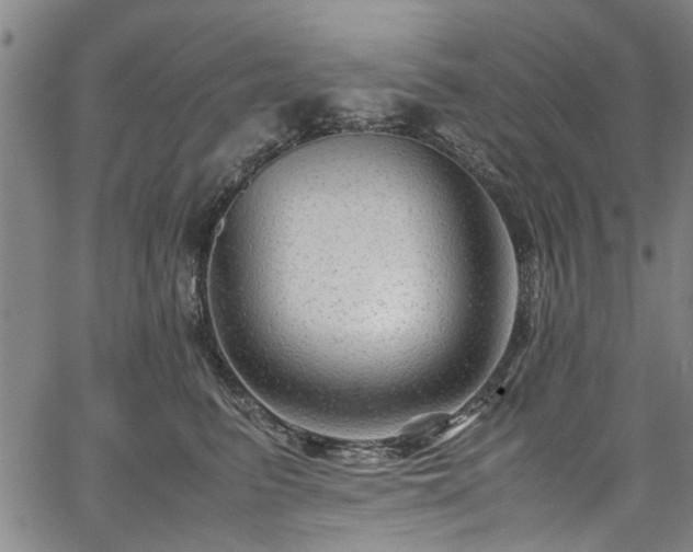X0000067360615200604031000